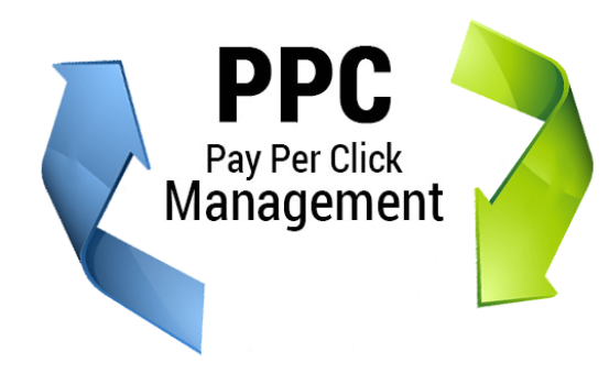 PPC service in Udaipur
